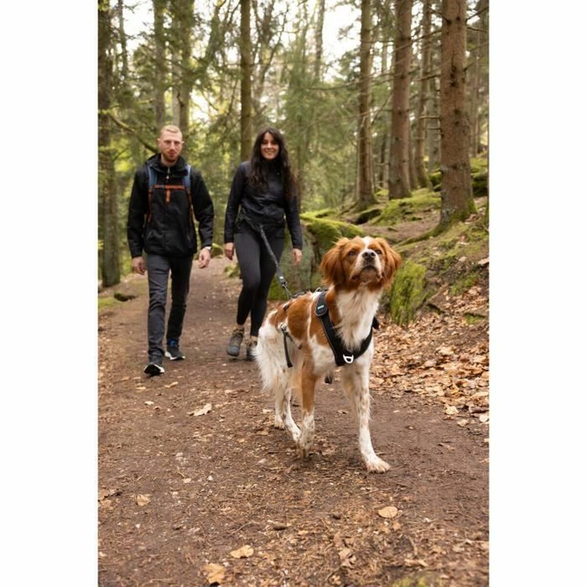 V4HCE39BD296E76F3F93EF9B651572CF948R5293577P5