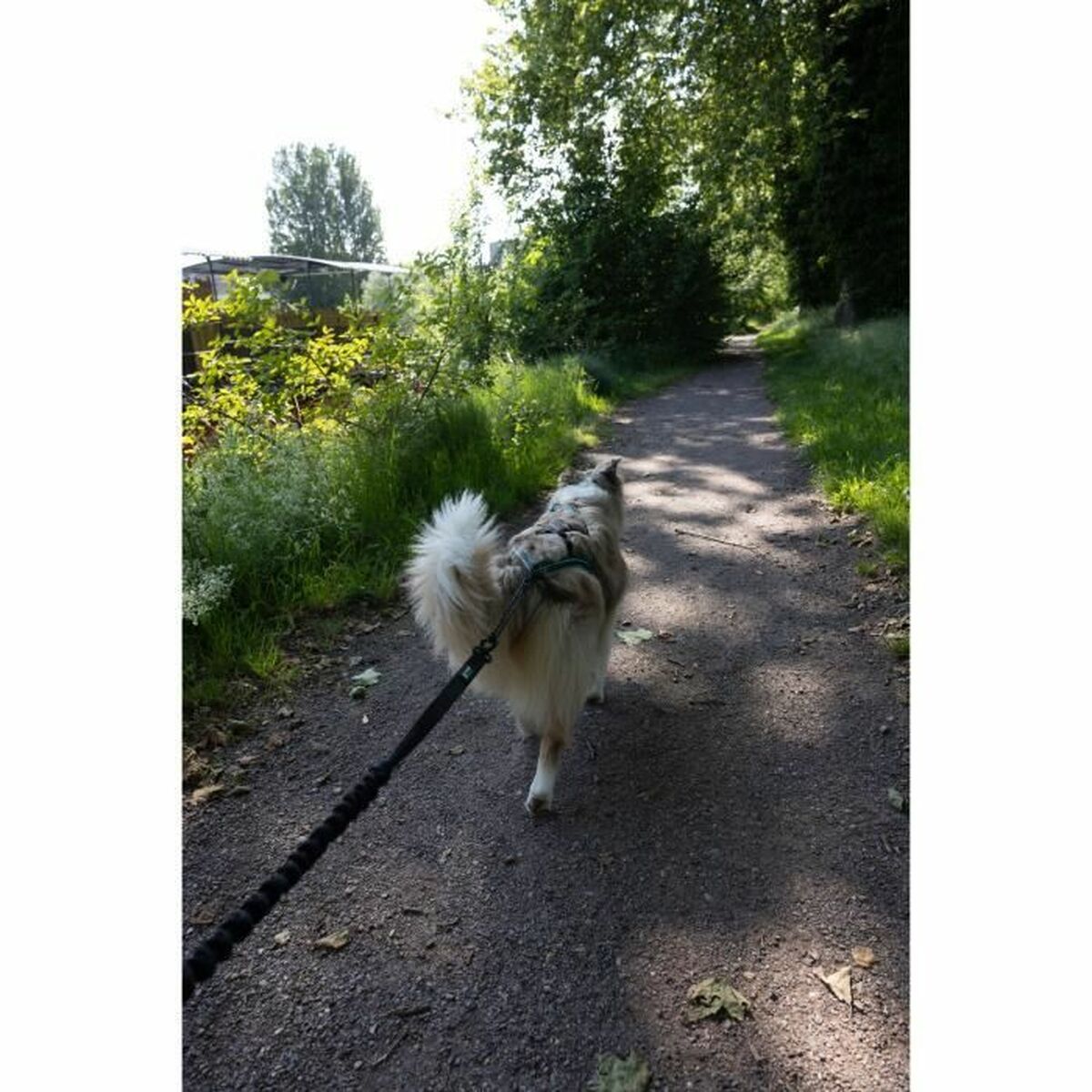 V3HF5D308BA6845217C1810528378B901B2R5776751P4