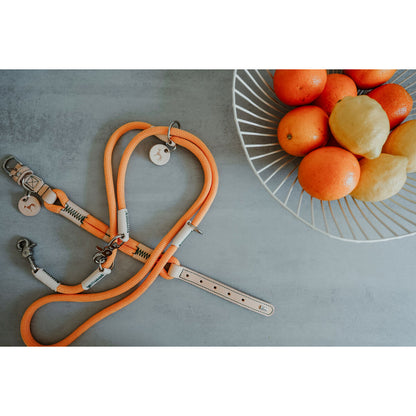 V3H666EA85AE324E11F6C04FE7D9BEFB9F6R5582802P6